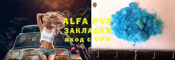 ПСИЛОЦИБИНОВЫЕ ГРИБЫ Новозыбков