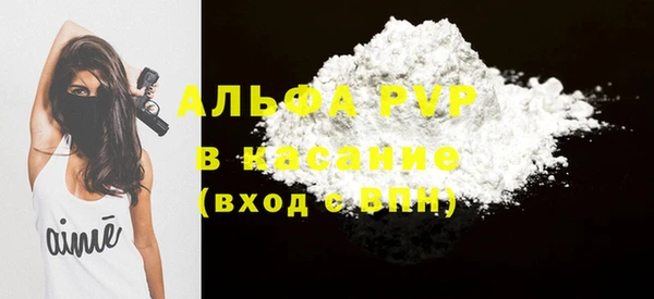 ПСИЛОЦИБИНОВЫЕ ГРИБЫ Новозыбков