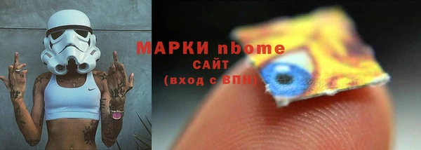ПСИЛОЦИБИНОВЫЕ ГРИБЫ Новозыбков