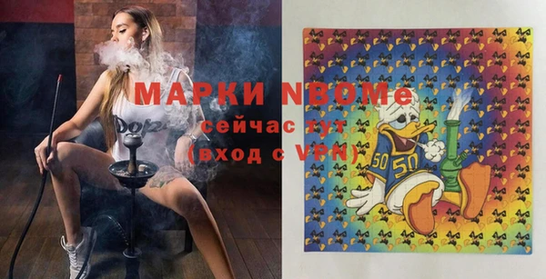 ПСИЛОЦИБИНОВЫЕ ГРИБЫ Новозыбков