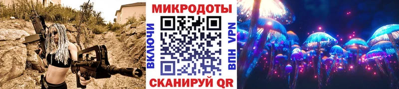 omg онион  Пугачёв  Галлюциногенные грибы Cubensis 
