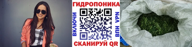 Шишки марихуана Bruce Banner  дарнет шоп  Пугачёв 